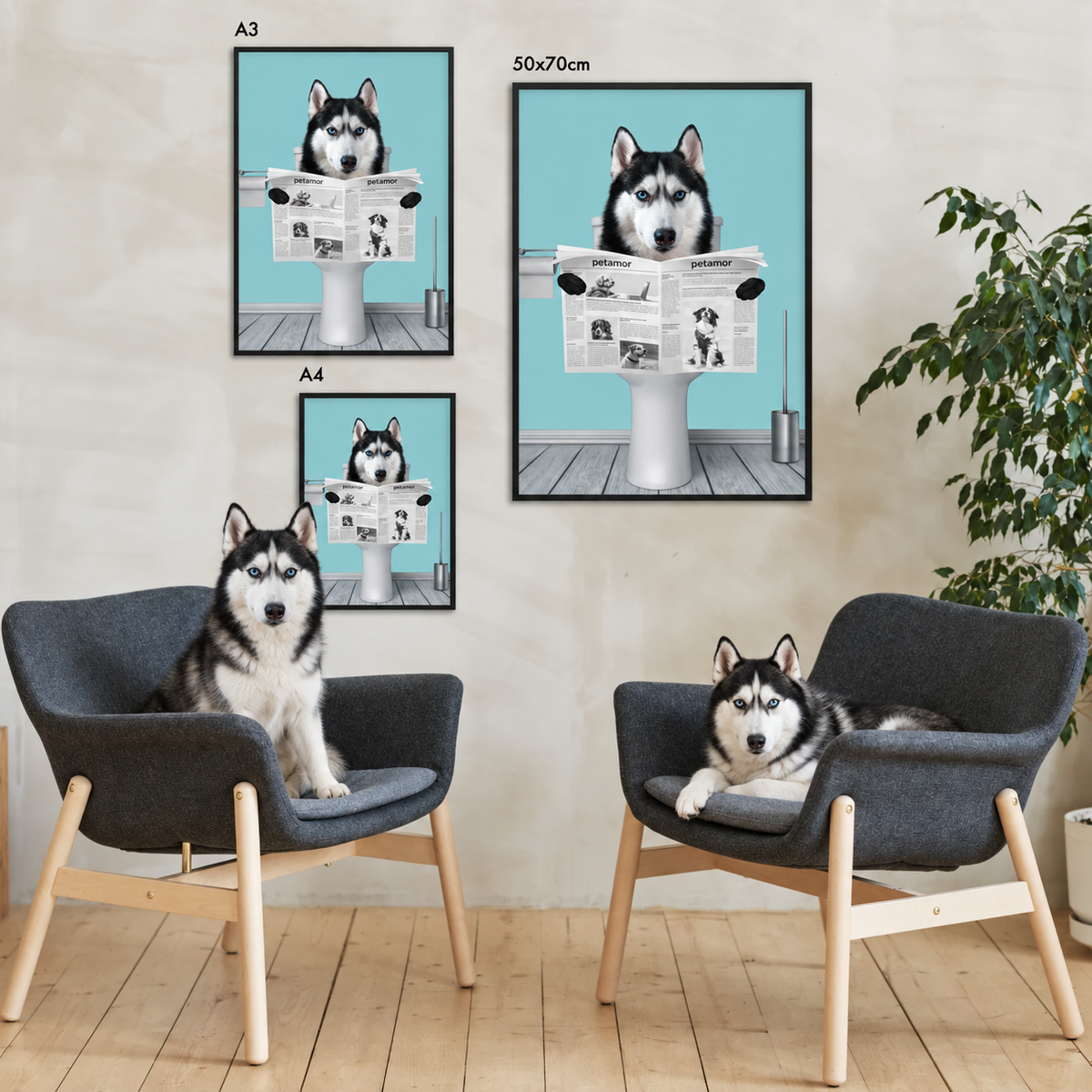 Drie gepersonaliseerde posters van een husky die de krant leest in zwarte lijsten. Stoelen en plant op de achtergrond.