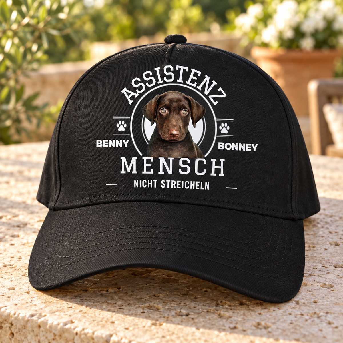 Zwarte pet met opdruk “ASSISTENZ MENSCH”, hondenafbeelding en de tekst “NICHT STREICHELN”.