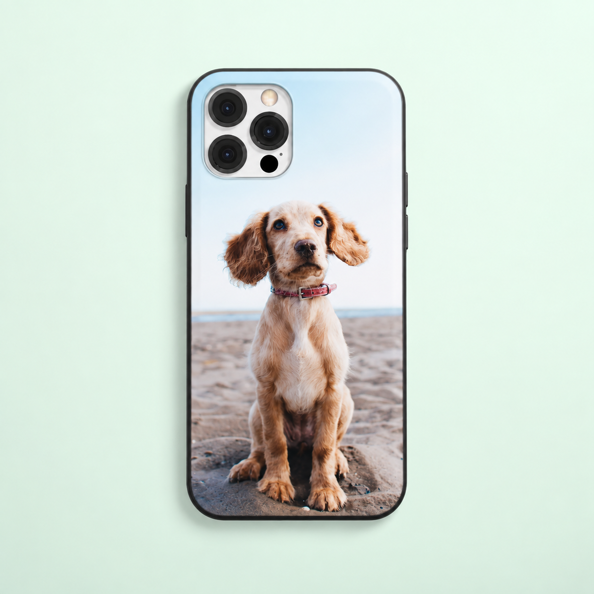 Coque de téléphone avec photo d'un chien assis sur la plage, bord noir.