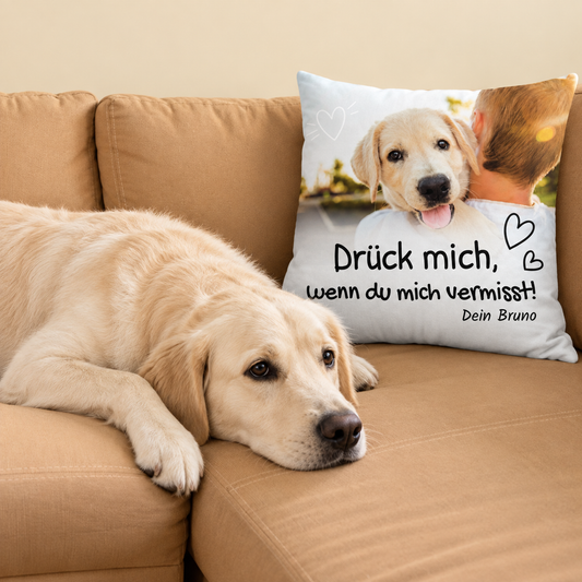 Beige kussen met tekst en hondenmotief, op een bank naast een labrador.