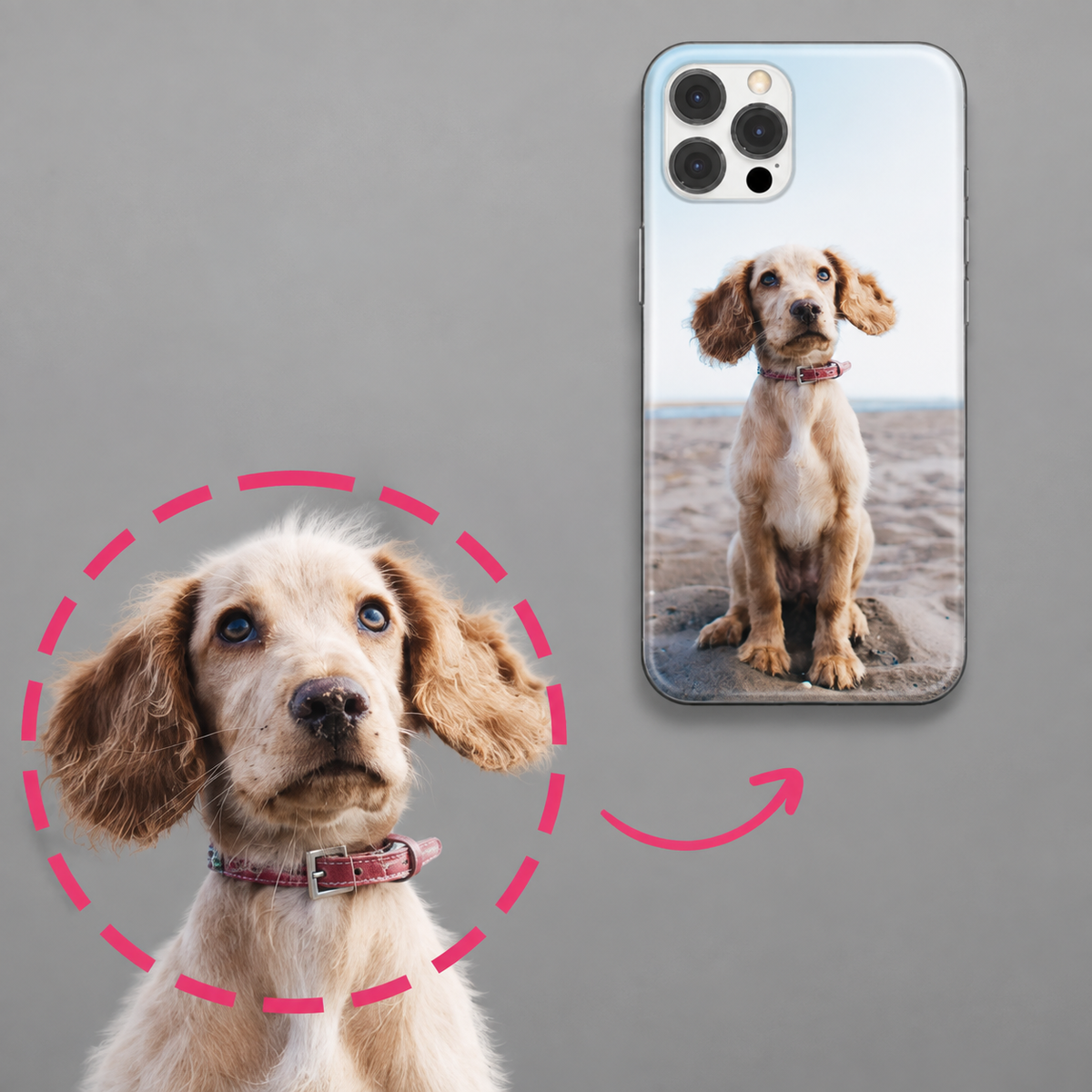 Coque de téléphone personnalisée avec photo d'un chien, sur un smartphone.