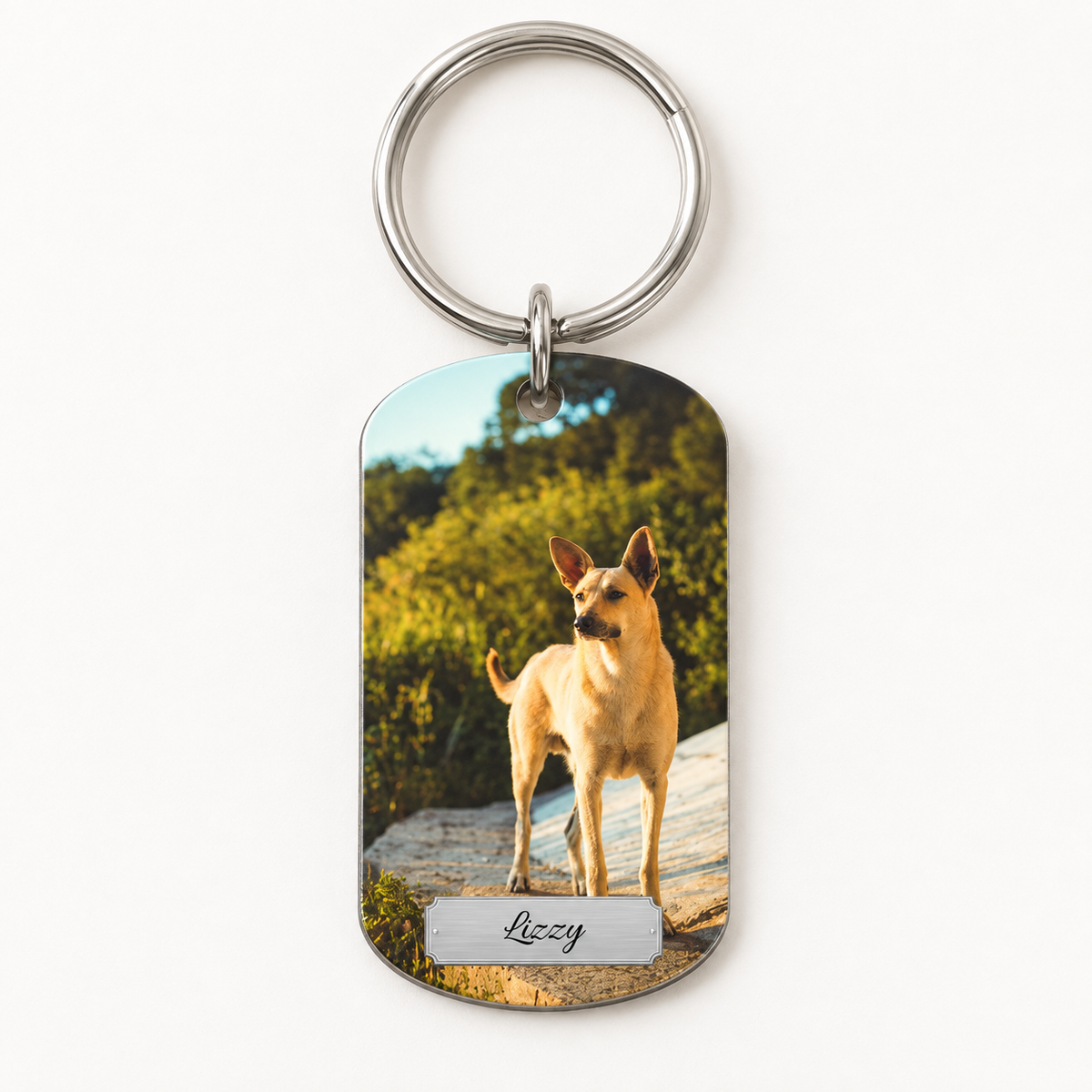 Gepersonaliseerde zilveren roestvrijstalen sleutelhanger met foto van een hond en gegraveerde naam.