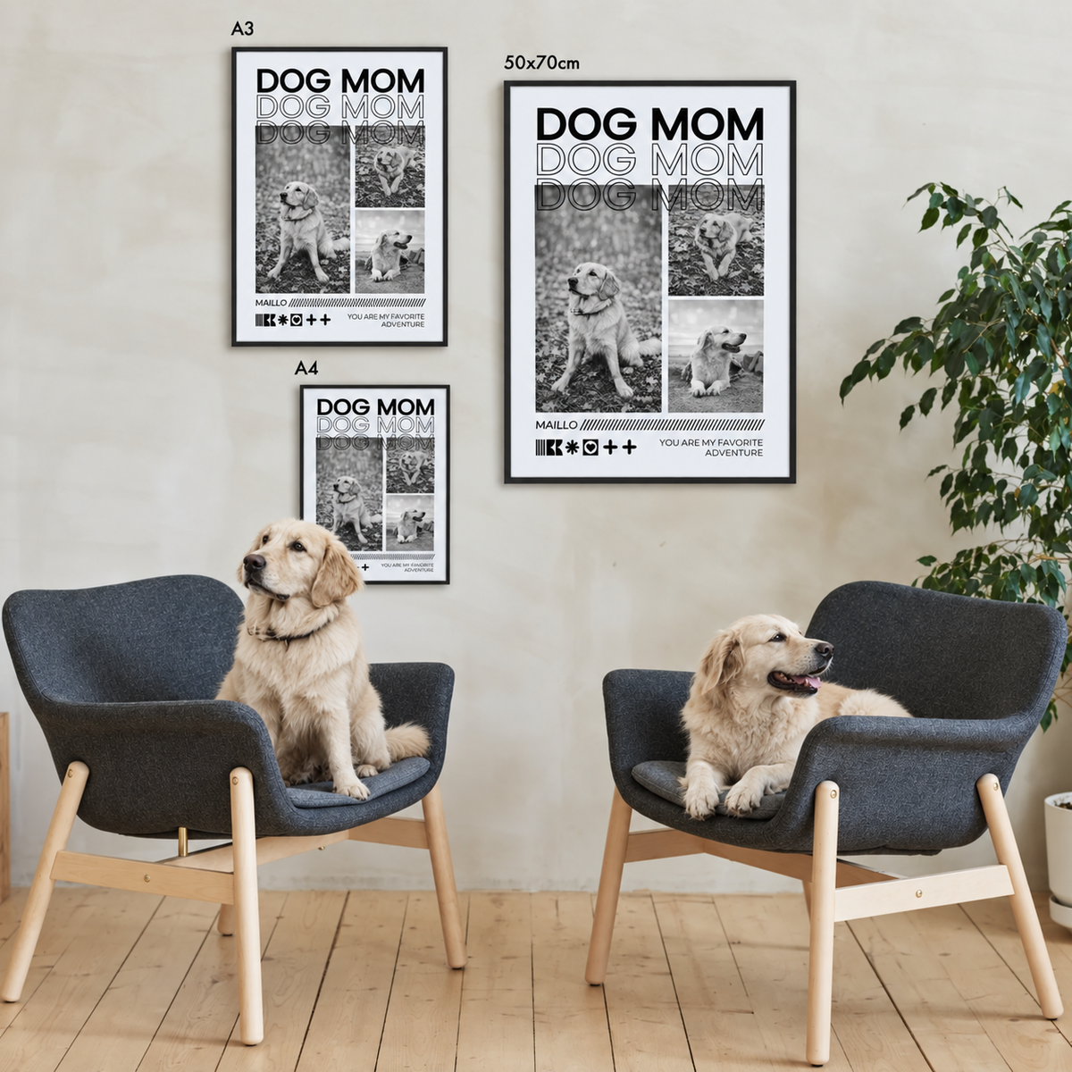 Poster personnalisé "Dog Mom" noir et blanc, deux tailles et styles au mur, chiens sur des chaises.