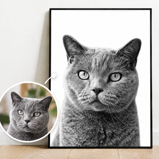 Gepersonaliseerde poster met grijs zwart-wit kattenportret. Inclusief kleinere afbeelding in kleur.