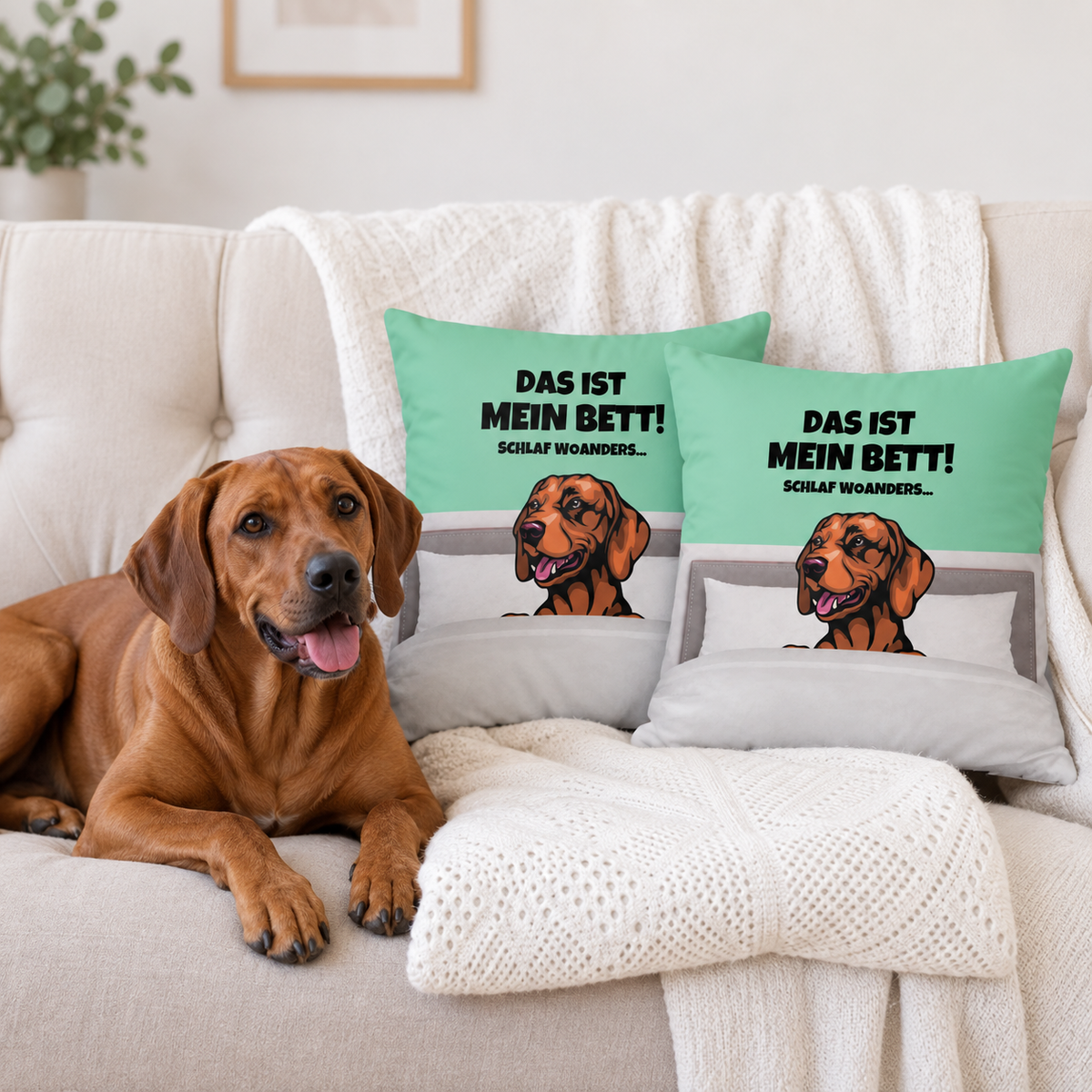 Lichtblauw en grijs kussen met hondenmotief en de tekst "Das ist mein Bett!" op een bank. Hond ligt ernaast.