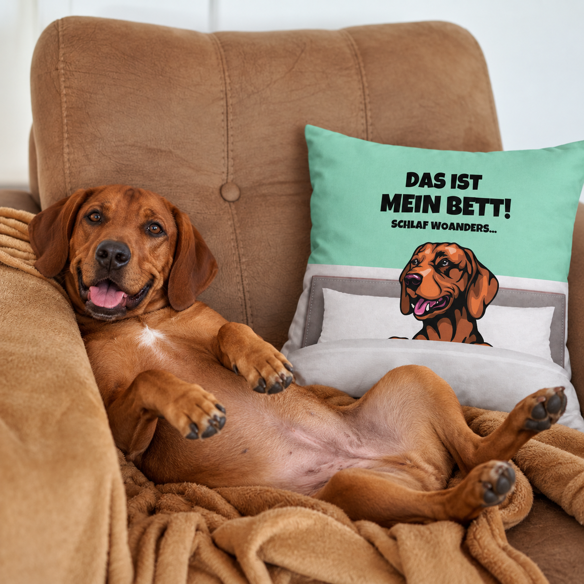 Bruin hondenkussen met opdruk "Das ist mein Bett!" op turquoise achtergrond, hond ligt ontspannen op een bank.
