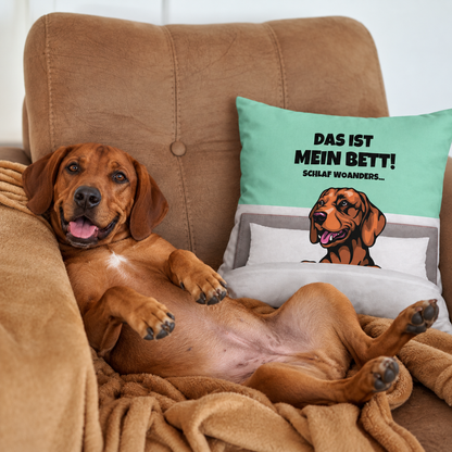 Bruin hondenkussen met opdruk "Das ist mein Bett!" op turquoise achtergrond, hond ligt ontspannen op een bank.