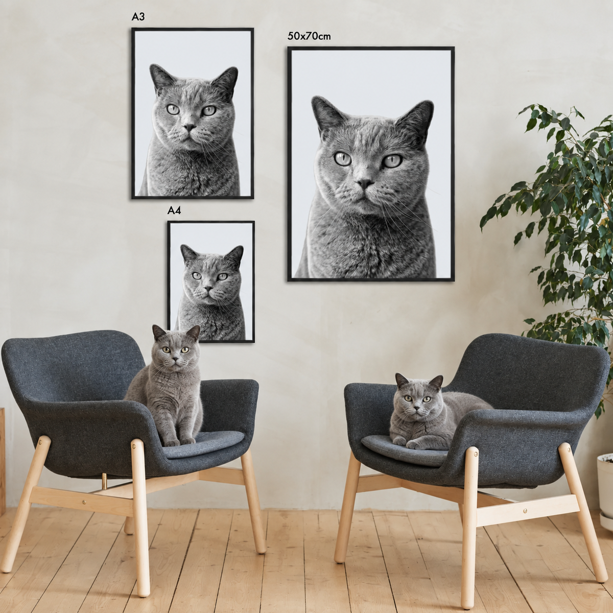 Drie ingelijste portretten van een grijs gestreepte kat in een moderne woonruimte.