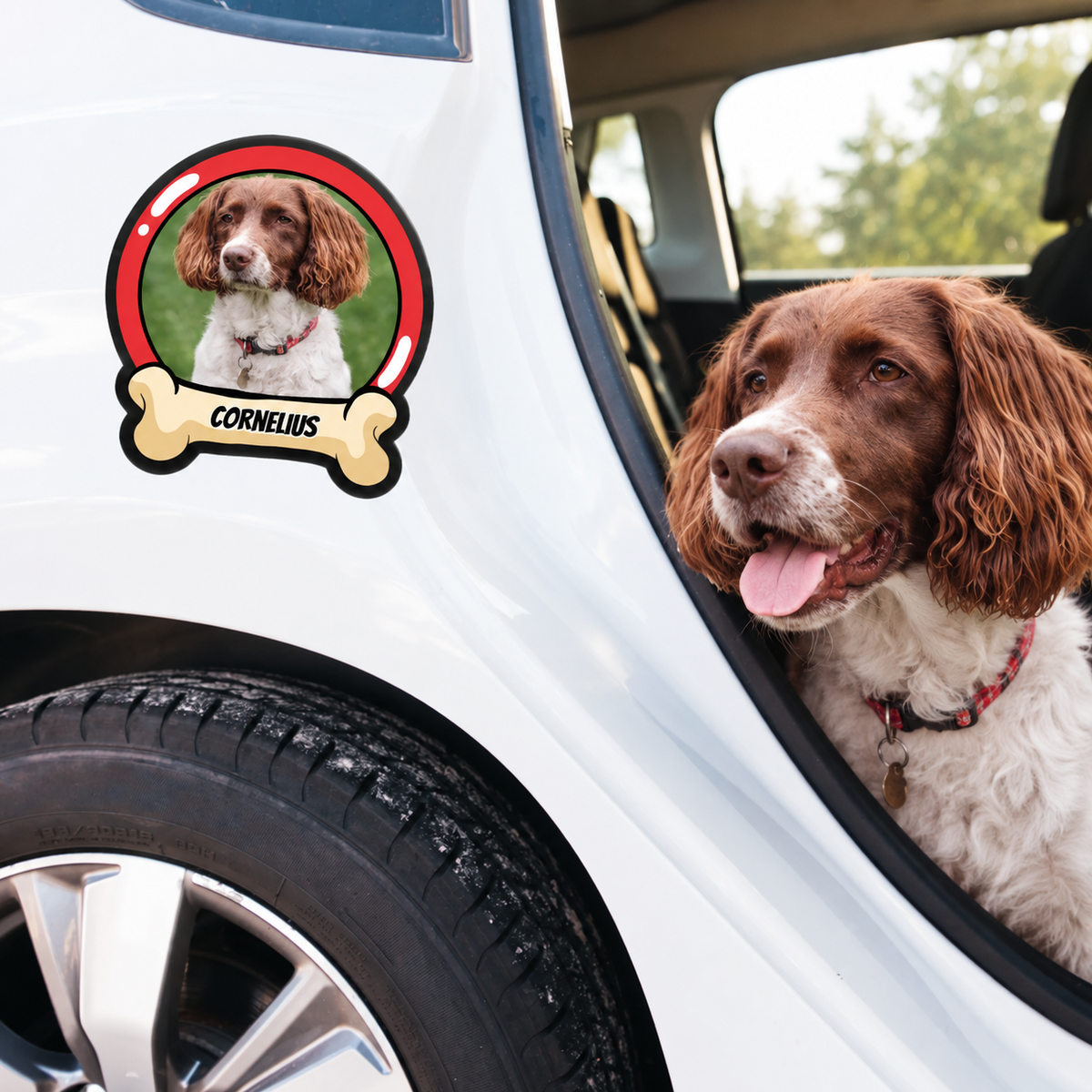 Autocollant de voiture personnalisé avec photo de chien et le nom "CORNELIUS" sur une portière blanche.