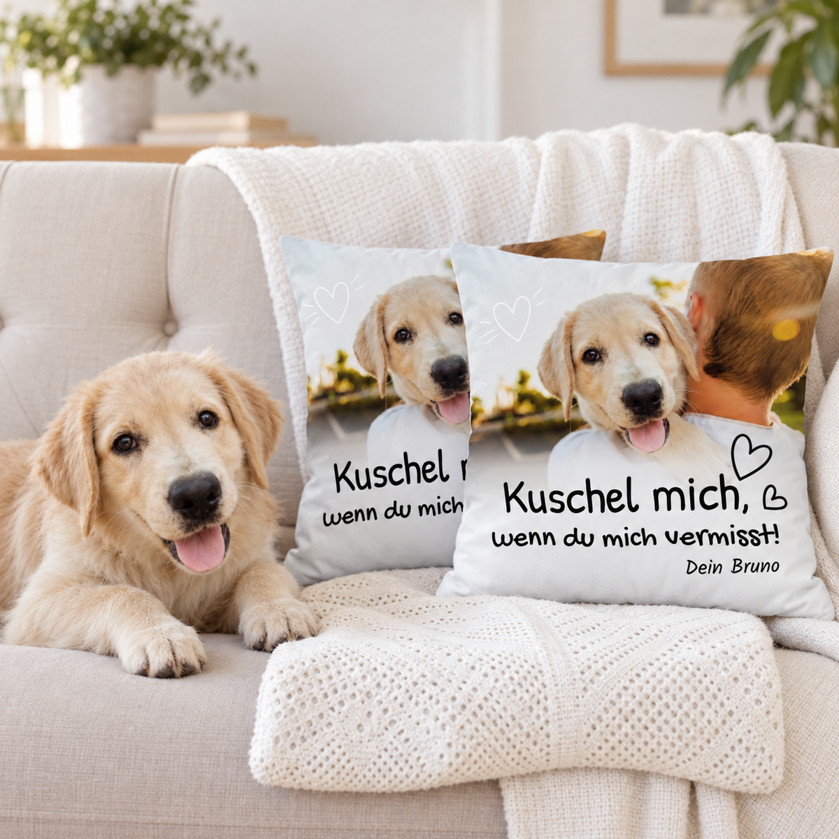 Twee gepersonaliseerde kussens met hondenmotief en tekst, op een bank naast een hond.