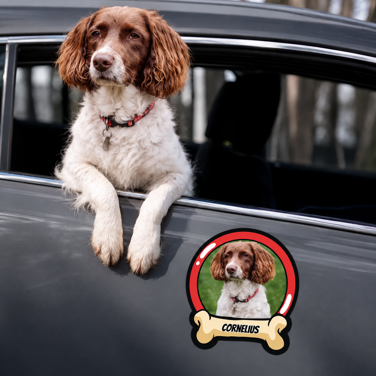 Autocollant de voiture personnalisé avec photo de chien et le nom "CORNELIUS" dans un cadre en forme d'os.