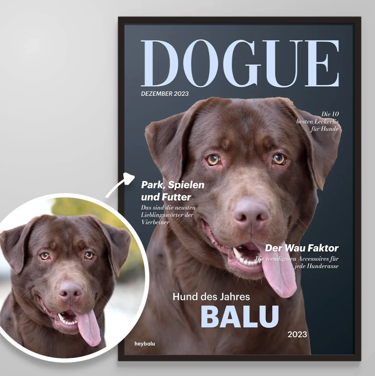 Poster personnalisable pour chien avec un labrador souriant, design moderne et grande inscription "DOGUE".