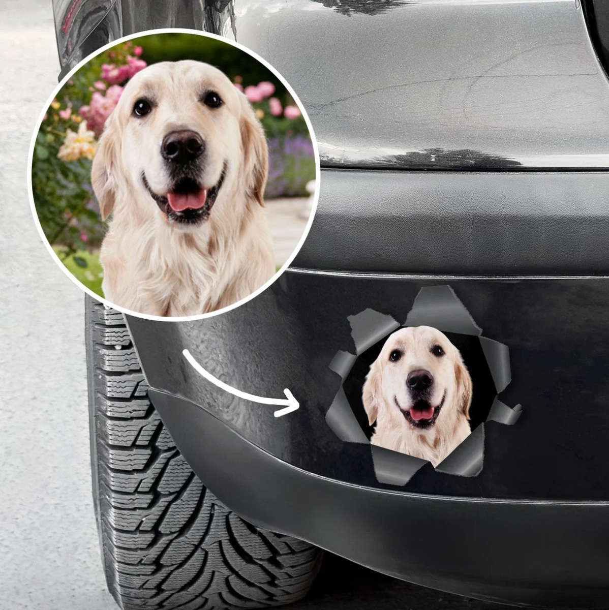 Gepersonaliseerde autosticker met hondenfoto die door een scheur-effect naar buiten kijkt.