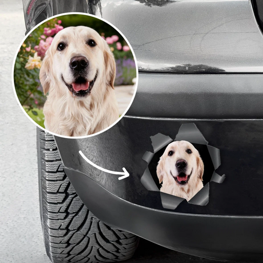 Gepersonaliseerde autosticker met hondenfoto die door een scheur-effect naar buiten kijkt.