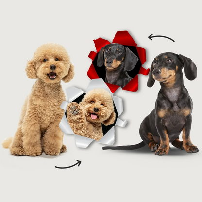 Twee honden, een goldendoodle en een teckel, naast elkaar, met foto-effecten op de achtergrond.