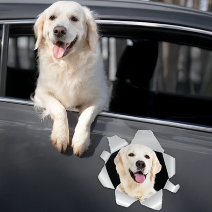Autosticker met een labrador die uit een raam kijkt. Grijs met realistische afbeelding.