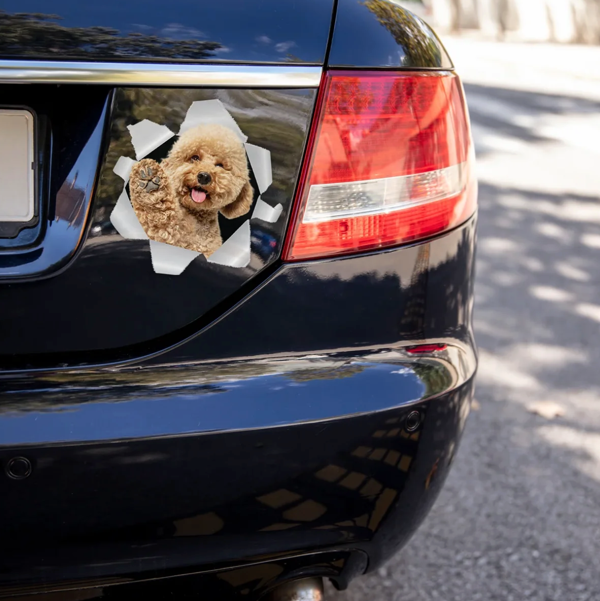 Autosticker met een hond die door een scheur in een grijze muur kijkt, op een zwarte auto.