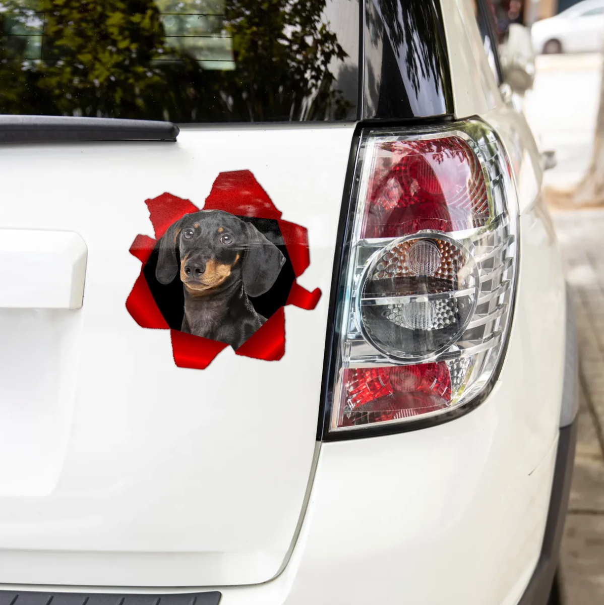 Gepersonaliseerde autosticker met een gluurende teckel, gekleurde achtergronden in rood en zwart.