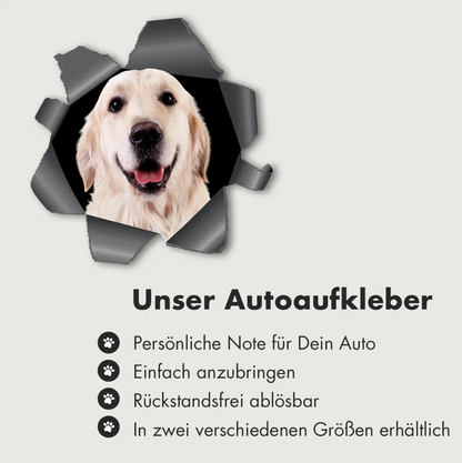 Gepersonaliseerde autosticker - Glurende foto