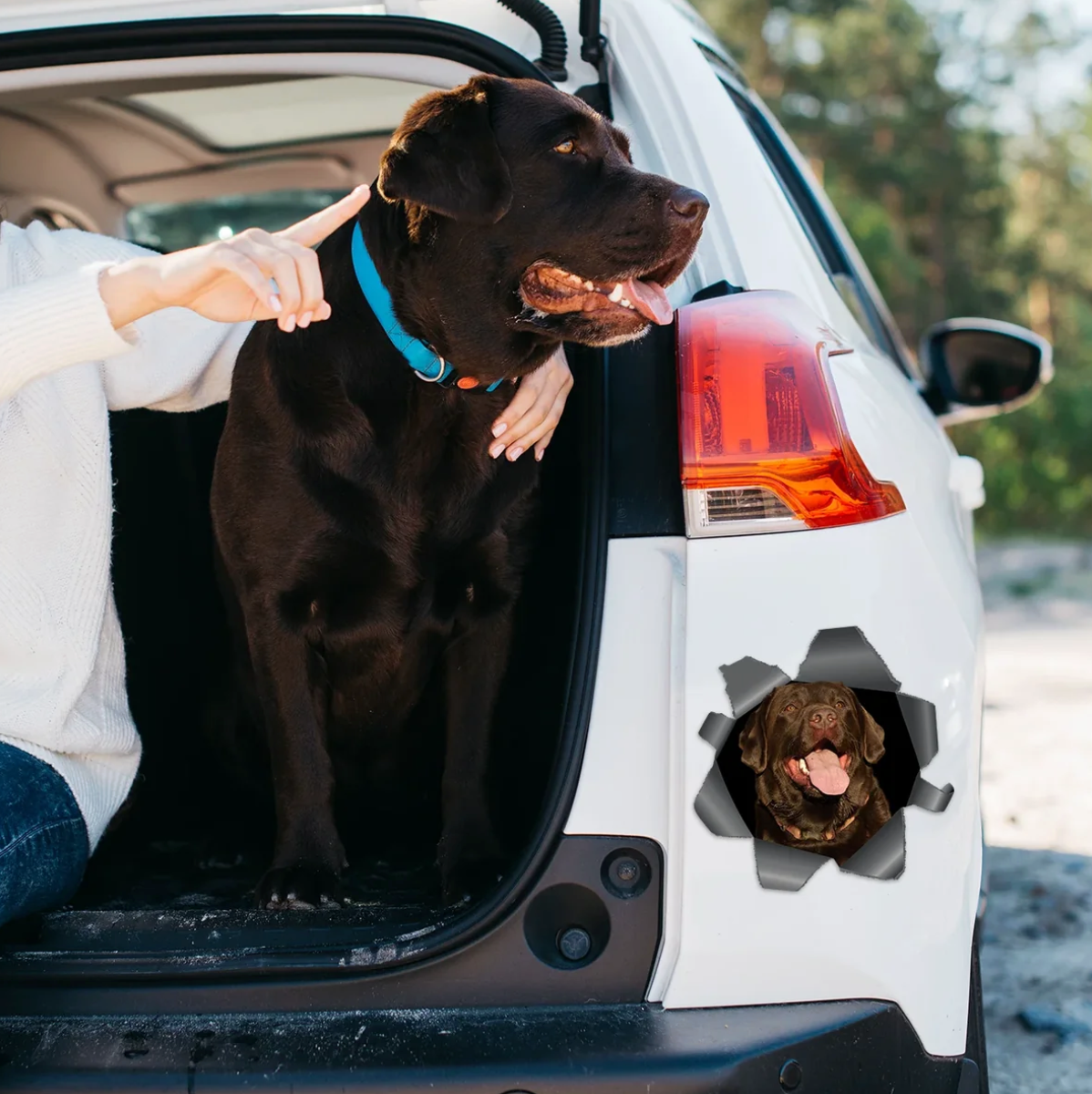 Gepersonaliseerde autosticker - Glurende foto