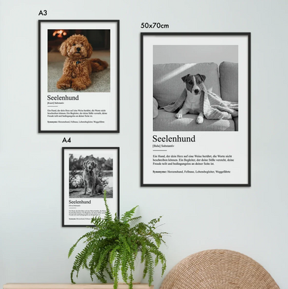 Drie gepersonaliseerde zwart-witposters over zielsdieren met hondenfoto's en definities, ingelijst.