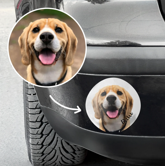 Gepersonaliseerde autosticker met foto van een beagle en de tekst "Bau".