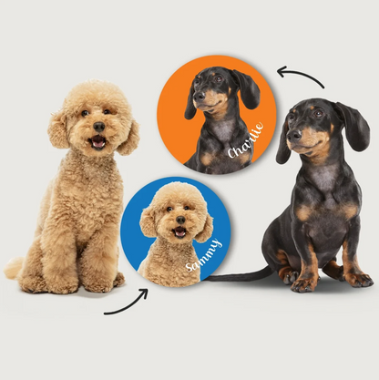 Honden in verschillende kleuren en houdingen, omringd door ronde stickers met namen op een kleurrijke achtergrond.