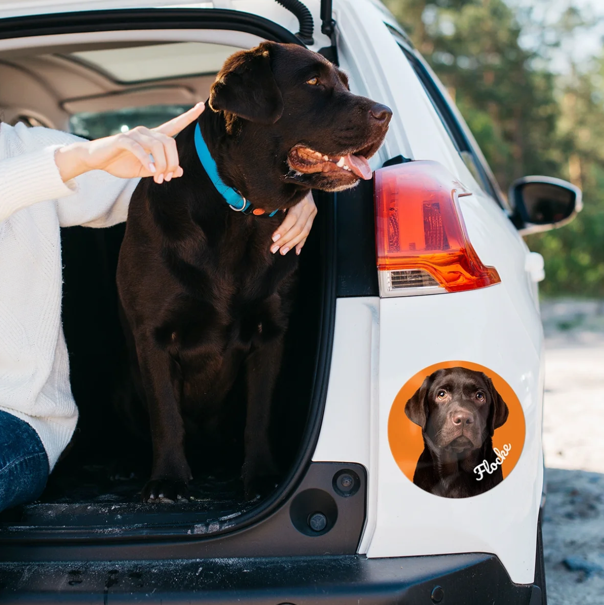 Gepersonaliseerde autosticker met hondenfoto op een wit voertuig. Hond zit in de kofferbak.