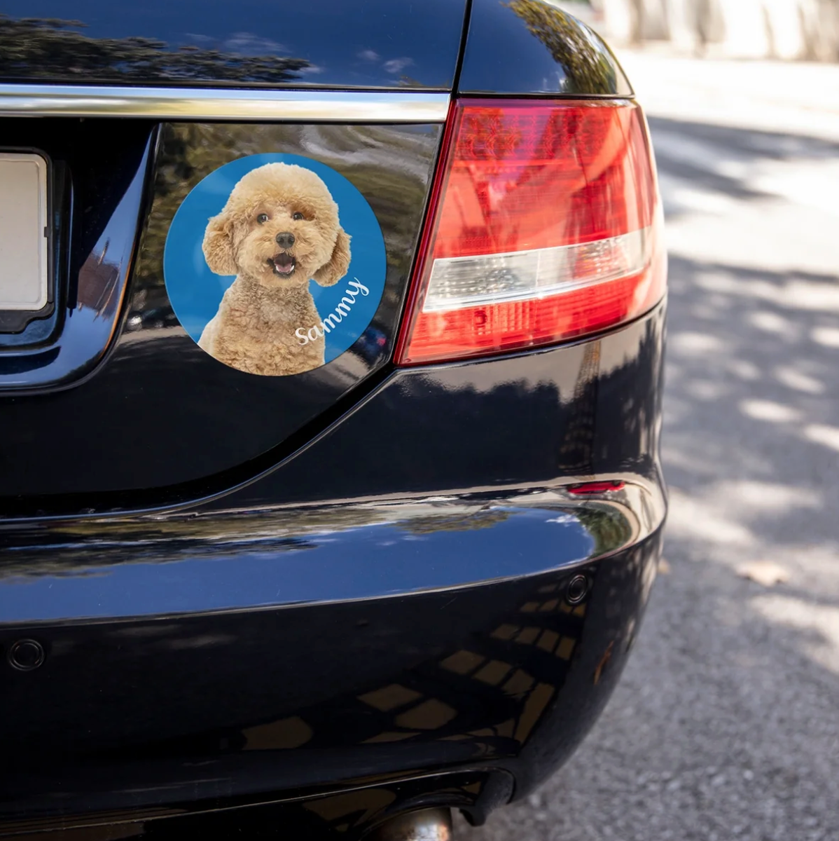 Autosticker met hondenfoto en de naam "Sammy" op een zwart voertuig.