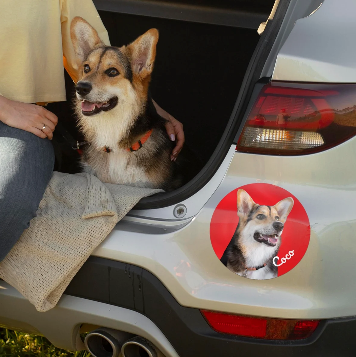 Autosticker met foto van een hond op de achterklep van een auto.