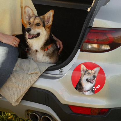Autosticker met foto van een hond op de achterklep van een auto.