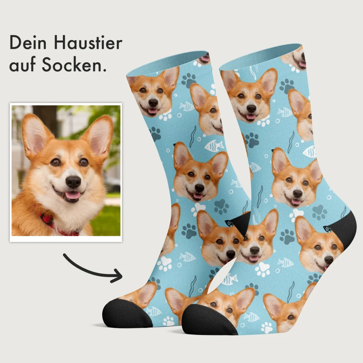 Gepersonaliseerde sokken met blauwe basiskleur en corgipatroon.