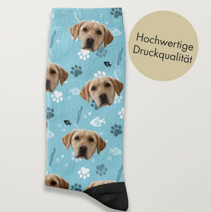 Blauwe sokken met hondenmotief en pootafdrukken, hoge printkwaliteit.