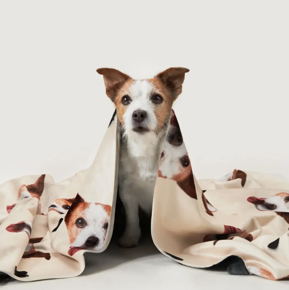 Huisdierdeken met dierenkopjes om een hond gewikkeld, beige met kleurrijke print.