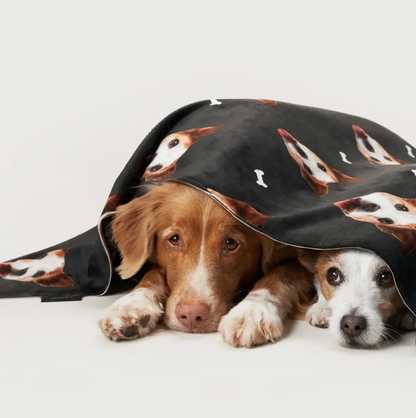 Twee honden liggen onder een gepersonaliseerde deken met huisdierkopjes op zwart.