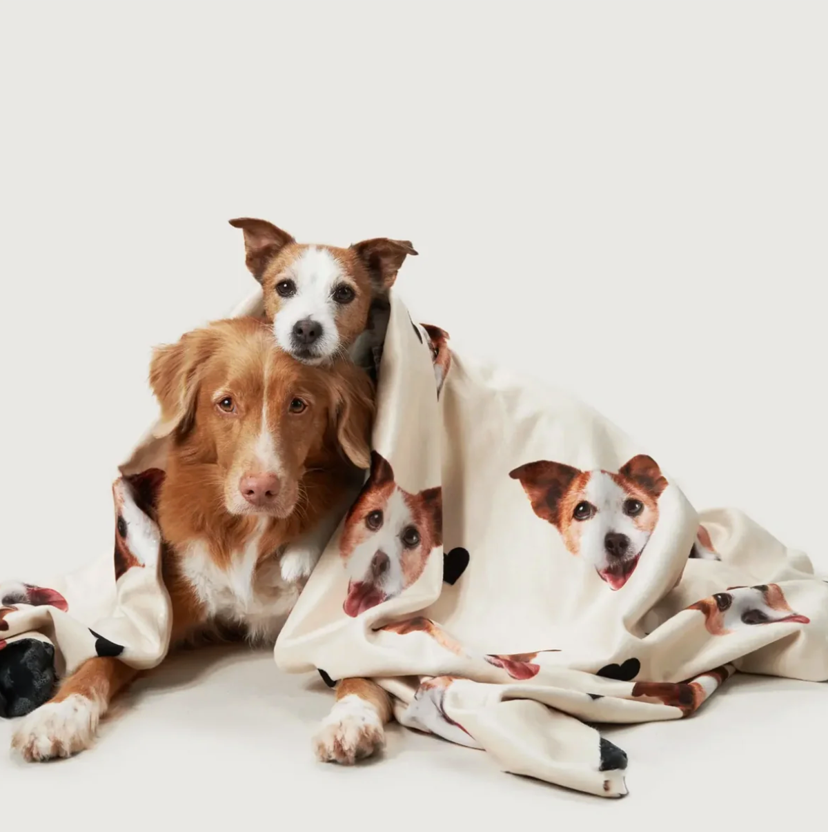 Gepersonaliseerde beige deken met huisdierkopjes, om twee honden gewikkeld.