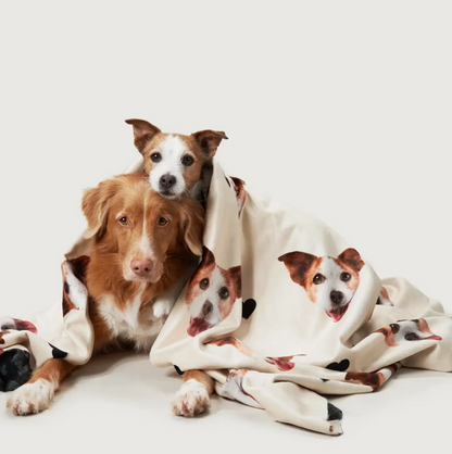 Gepersonaliseerde beige deken met huisdierkopjes, om twee honden gewikkeld.