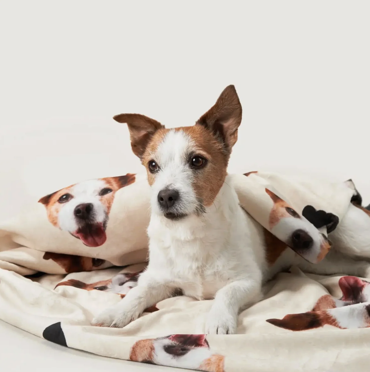 Gepersonaliseerde deken met hondenfoto's, crèmekleurige achtergrond en zacht materiaal. Hond ligt erop.