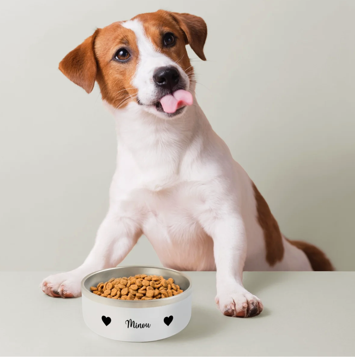 Gamelle pour chien en céramique avec l'inscription "Minou" et des croquettes. Un chien assis devant se lèche le museau.