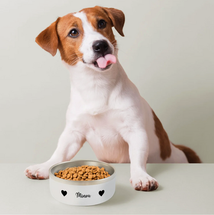 Gamelle pour chien en céramique avec l'inscription "Minou" et des croquettes. Un chien assis devant se lèche le museau.