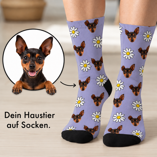 Gepersonaliseerde sokken met paarse achtergrond, bedrukt met hondengezichten en bloemen.