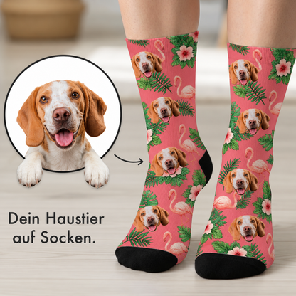 Gepersonaliseerde sokken met kleurrijk beagleontwerp, roze achtergrond met flamingo's en bladeren.