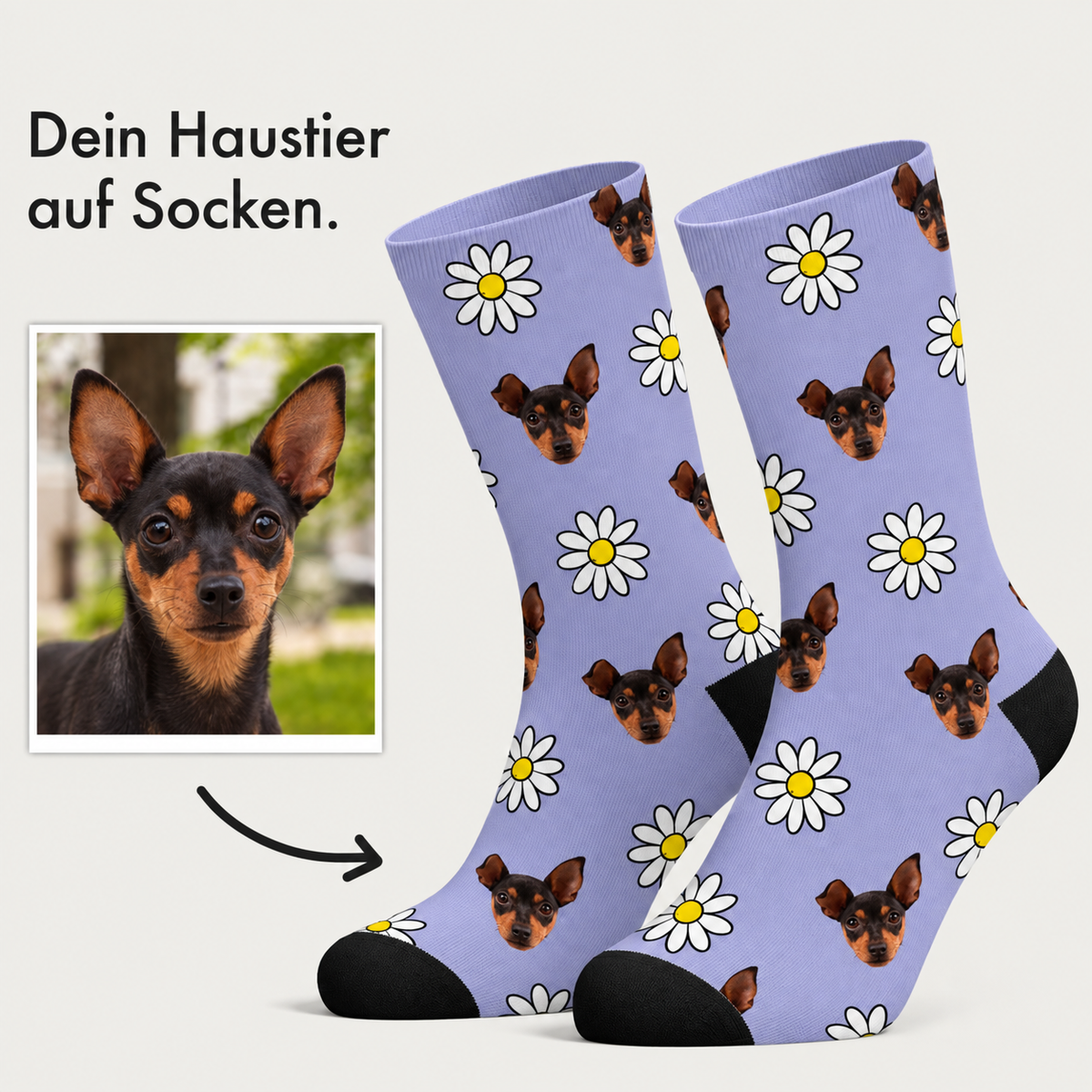 Gepersonaliseerde sokken met paarse achtergrond, bloemenpatroon en hondengezichten. Katoen.