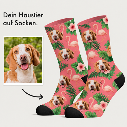 Gepersonaliseerde sokken met hondenmotief, roze achtergrond en tropische bloemen.