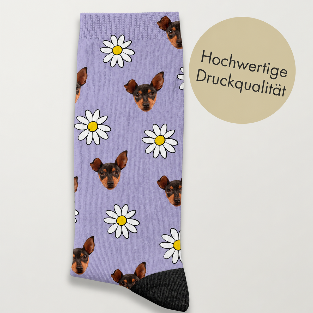 Gepersonaliseerde paarse sokken met hondenmotief en madeliefjes, hoogwaardige print.