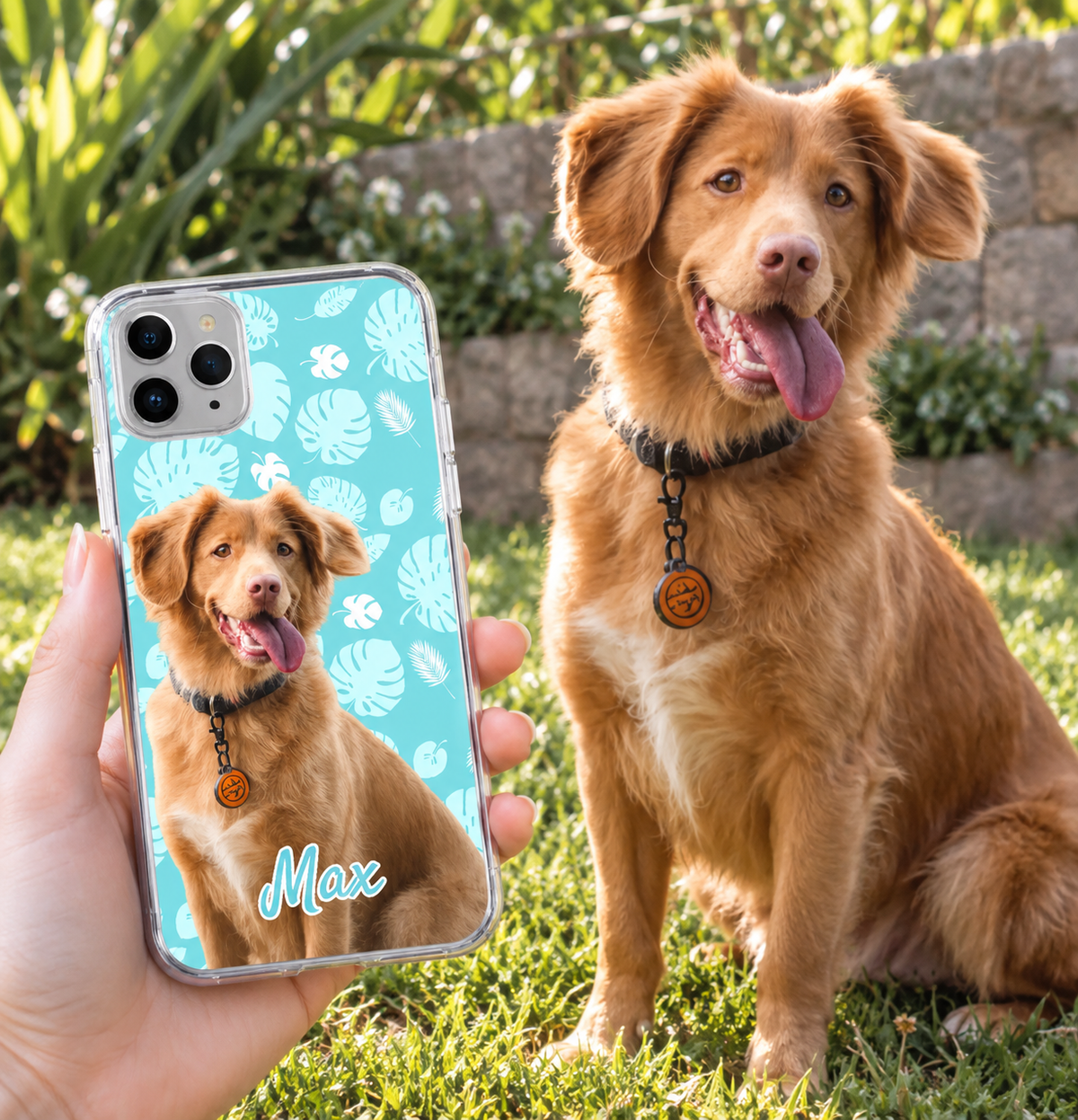 Coque de téléphone transparente personnalisée avec photo de chien et motif végétal bleu clair.