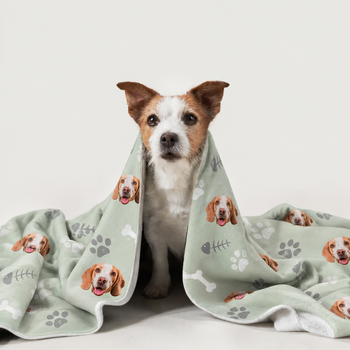 Chien enveloppé dans une couverture personnalisée à motifs de chiens sur fond vert.