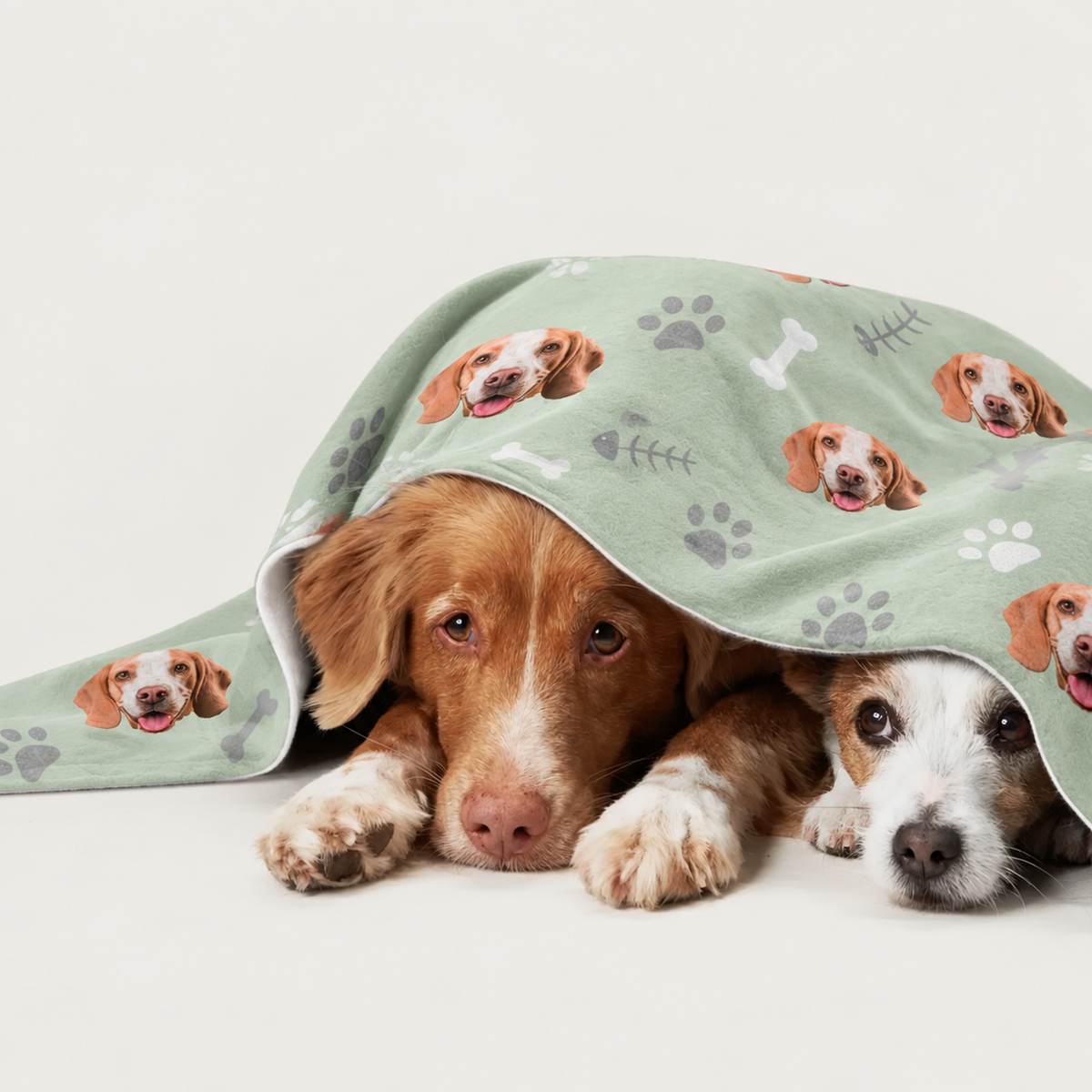 Deux chiens couchés sous une couverture personnalisée vert pastel à motifs de chiens.
