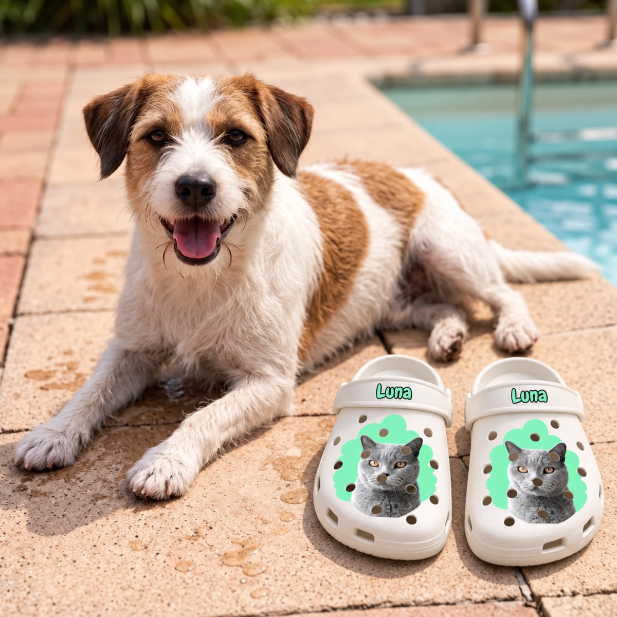 Sabots personnalisés avec portrait de chat gris et vert à côté d'un chien au bord de la piscine.