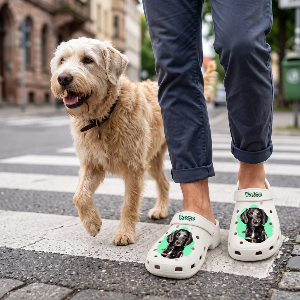 Gepersonaliseerde witte klompen met huisdierportret en kleurrijke achtergrond, gedragen door iemand met een hond.
